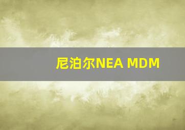 尼泊尔NEA MDM